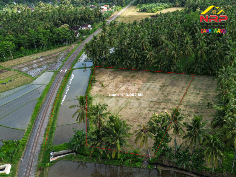 Dijual Tanah Sawah Produktif di Barat Perumahan TPI Kedayunan  Dijual Tanah Sawah Produktif di Barat Perumahan TPI Kedayunan  Dijual Tanah Sawah Produktif di Barat Perumahan TPI Kedayunan&nbsp;
Dekat dengan Hotel Kokoon, El Royal dan Banyuwangi Park.&nbsp;
Akses jalan mobil +/- 50 NRP BANYUWANGI