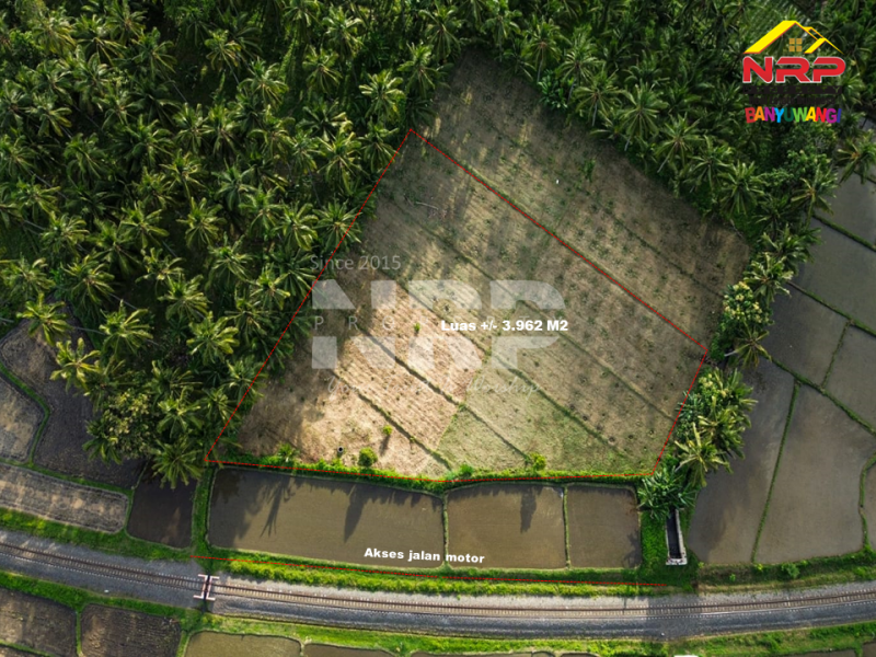 Dijual Tanah Sawah Produktif di Barat Perumahan TPI Kedayunan  Dijual Tanah Sawah Produktif di Barat Perumahan TPI Kedayunan  Dijual Tanah Sawah Produktif di Barat Perumahan TPI Kedayunan&nbsp;
Dekat dengan Hotel Kokoon, El Royal dan Banyuwangi Park.&nbsp;
Akses jalan mobil +/- 50 NRP BANYUWANGI