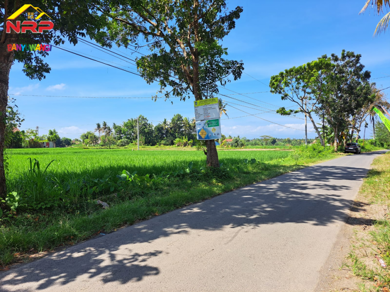 Dijual Tanah Sawah Produktif di Ds. Watukebo, Blimbingsari - Bwi Dijual Tanah Sawah Murah Produktif di Ds. Watukebo, Blimbingsari - Bwi Dijual Tanah Sawah Produktif di Ds. Watukebo, Blimbingsari - Bwi
Tepi Jalan Lintas Selatan Banyuwangi. Irigasi lancar, Akses Roda 4.
Sangat Cocok usaha NRP BANYUWANGI