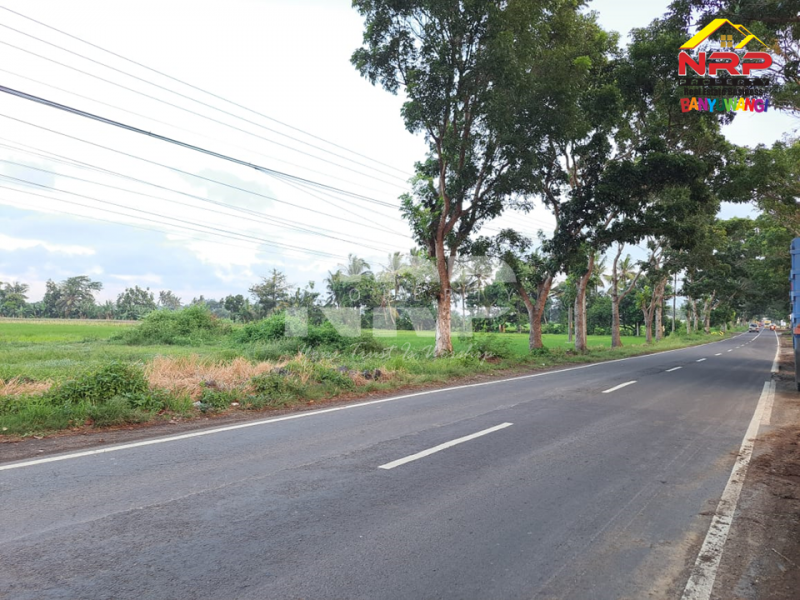 Dijual Tanah Sawah Produktif di Tepi Jl. Gambor - Banyuwangi Dijual Tanah Sawah Produktif di Tepi Jl. Gambor - Banyuwangi Dijual Tanah Sawah Produktif di Tepi Jl. Gambor - Banyuwangi
Sawah masih produktif hingga saat ini, Irigasi lancar.

Luas Tanah : 7.950 M2 NRP BANYUWANGI