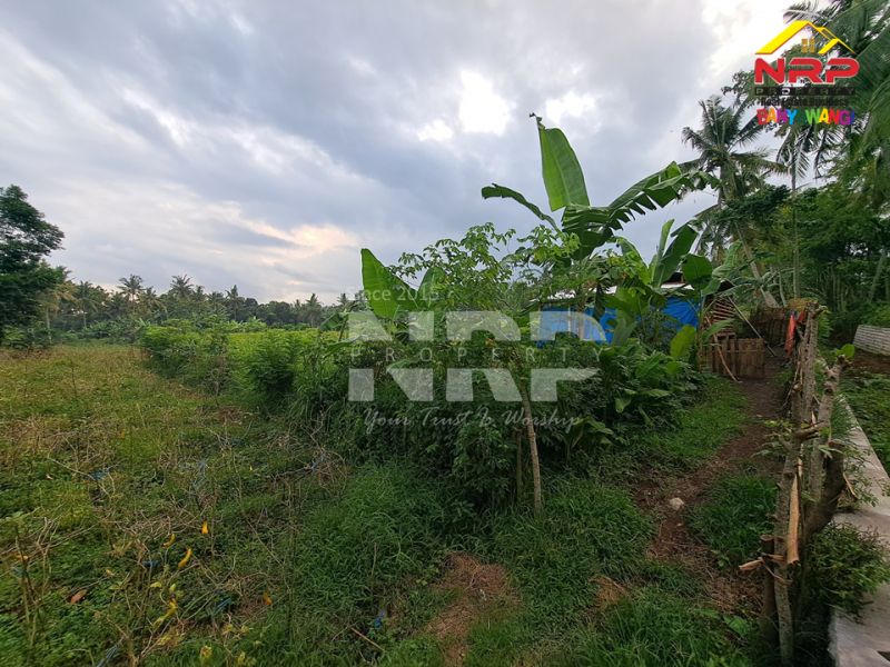 Dijual Tanah Sawah  Produktif Murah di Jambesari - Giri , Banyuwangi  Dijual Tanah Sawah  Produktif Murah di Jambesari - Giri , Banyuwangi  Dijual Tanah Sawah&nbsp; Produktif Murah di Jambesari - Giri , Banyuwangi&nbsp;
Cocok untuk berkebun atau invest lahan pertanian.&nbsp;

LT : 2.241 NRP BANYUWANGI