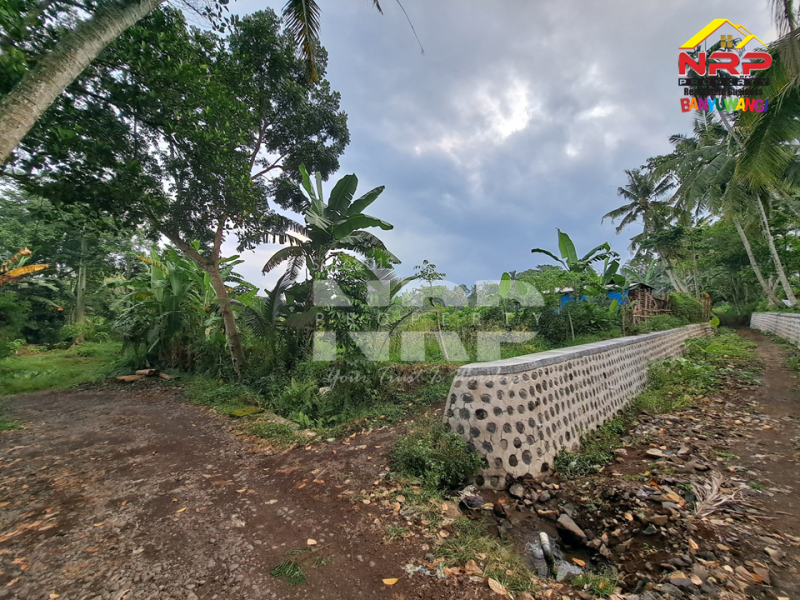 Dijual Tanah Sawah  Produktif Murah di Jambesari - Giri , Banyuwangi  Dijual Tanah Sawah  Produktif Murah di Jambesari - Giri , Banyuwangi  Dijual Tanah Sawah&nbsp; Produktif Murah di Jambesari - Giri , Banyuwangi&nbsp;
Cocok untuk berkebun atau invest lahan pertanian.&nbsp;

LT : 2.241 NRP BANYUWANGI
