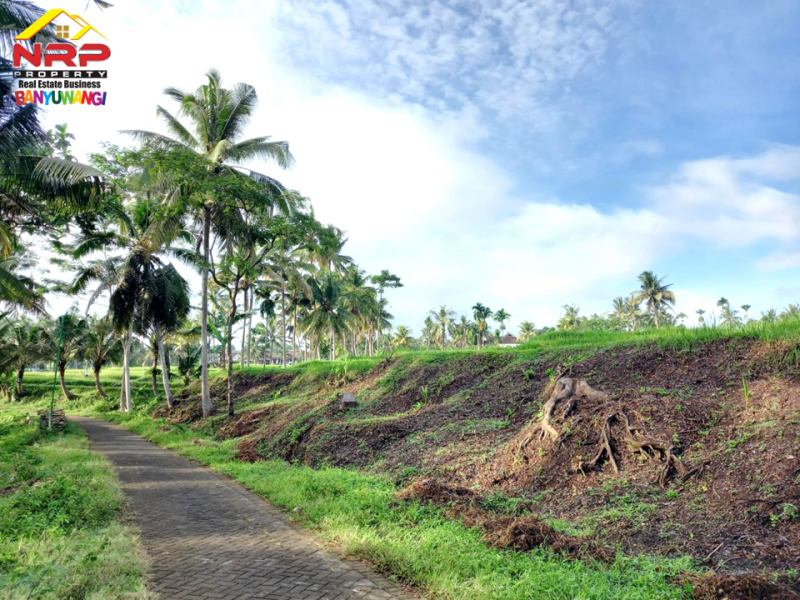 Dijual Tanah Sawah  Produktif Murah di Jambesari - Giri , Banyuwangi  Dijual Tanah Sawah  Produktif Murah di Jambesari - Giri , Banyuwangi  Dijual Tanah Sawah&nbsp; Produktif Murah di Jambesari - Giri , Banyuwangi
Lahan seluas 1 hektar +++ dengan Irigasi air yang lancar. Dekat dengan mata NRP BANYUWANGI
