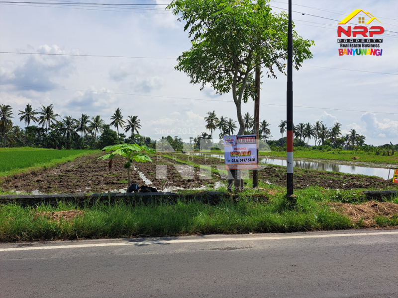 Dijual Tanah Sawah Prospek di Tepi Jl. Labanasem, Kabat -Banyuwangi Dijual Tanah Sawah Prospek di Tepi Jl. Labanasem, Kabat -Banyuwangi Dijual Tanah Sawah Prospek di Tepi Jl. Labanasem, Kabat -Banyuwangi
Berada di kawasan industri. Cocok untuk kompleks pergudangan, pabrik dll.&nbsp;

LT. NRP BANYUWANGI