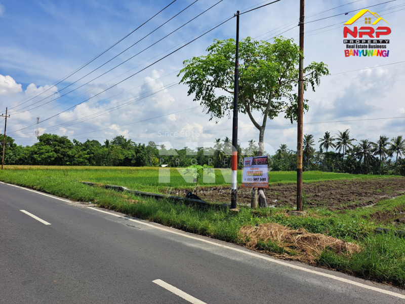 Dijual Tanah Sawah Prospek di Tepi Jl. Labanasem, Kabat -Banyuwangi Dijual Tanah Sawah Prospek di Tepi Jl. Labanasem, Kabat -Banyuwangi Dijual Tanah Sawah Prospek di Tepi Jl. Labanasem, Kabat -Banyuwangi
Berada di kawasan industri. Cocok untuk kompleks pergudangan, pabrik dll.&nbsp;

LT. NRP BANYUWANGI