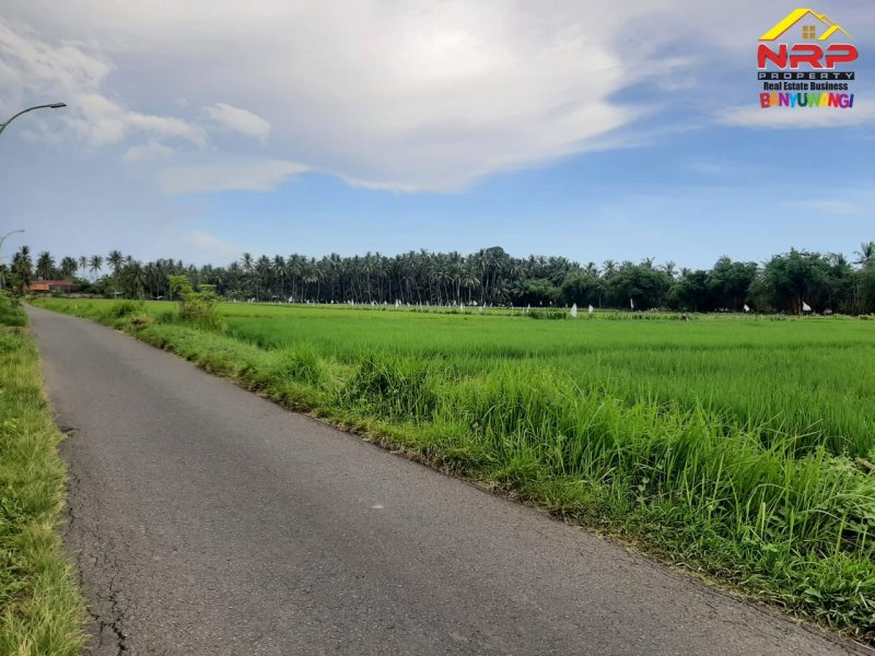 Dijual Tanah Sawah Strategis Kawasan Perumahan di Tepi Jl. Sobo - Banyuwangi Dijual Tanah Sawah Strategis Kawasan Perumahan di Tepi Jl. Sobo - Banyuwangi Dijual Tanah Sawah Strategis Kawasan Perumahan di Tepi Jl. Sobo - Banyuwangi
Sangat Cocok untuk Investasi Pertanian, Gudang dan Perumahan

Luas Tanah : NRP BANYUWANGI