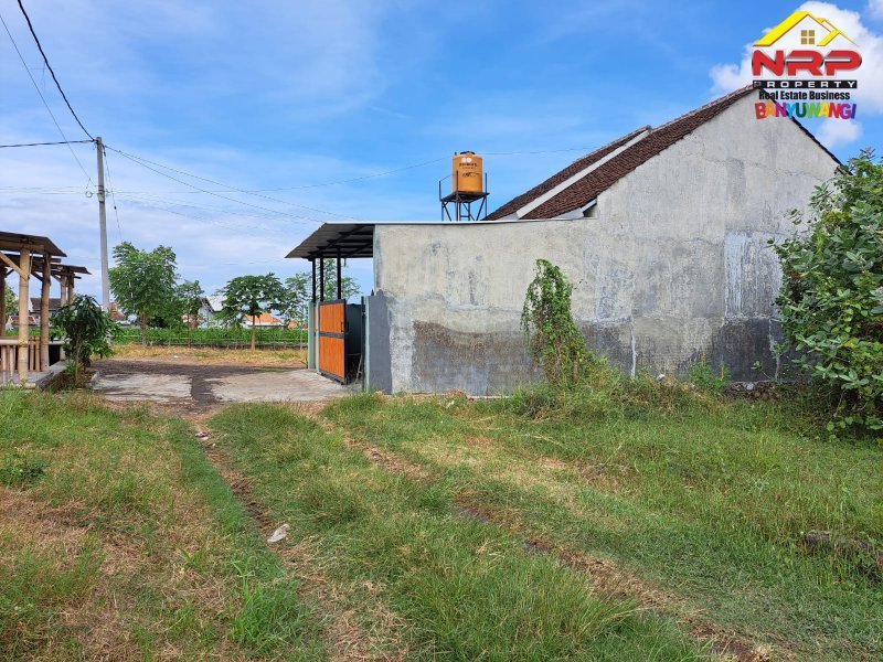 Dijual Tanah Siap Bangun 200 Meter dari SMPN 3 Banyuwangi Dijual Tanah Siap Bangun 200 Meter dari SMPN 3 Banyuwangi Dijual Tanah Siap Bangun 200 Meter dari SMPN 3 Banyuwangi
Cocok untuk hunian. Lokasi nyaman, aman dan asri.

Luas Tanah :123 m2
SHM NRP BANYUWANGI