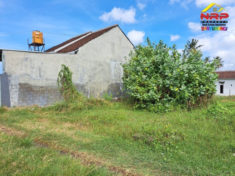 Dijual Tanah Siap Bangun 200 Meter dari SMPN 3 Banyuwangi Dijual Tanah Siap Bangun 200 Meter dari SMPN 3 Banyuwangi Dijual Tanah Siap Bangun 200 Meter dari SMPN 3 Banyuwangi
Cocok untuk hunian. Lokasi nyaman, aman dan asri.

Luas Tanah :123 m2
SHM NRP BANYUWANGI