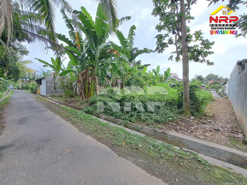 Dijual Tanah Siap Bangun 250 Meter dari Jl. Utama Dadapan - Banyuwangi  Jual tanah murah banyuwangi kota  Dijual Tanah Siap Bangun 250 Meter dari Jl. Utama Dadapan - Banyuwangi&nbsp;
Cocok untuk hunian atau investasi.

Luas Tanah 202 NRP BANYUWANGI