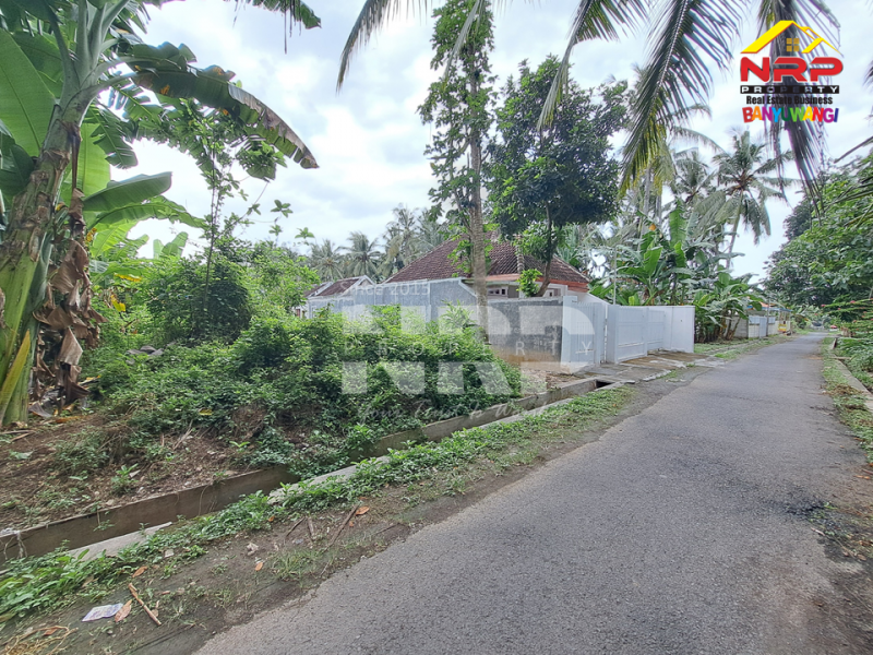 Dijual Tanah Siap Bangun 250 Meter dari Jl. Utama Dadapan - Banyuwangi  Jual tanah murah banyuwangi kota  Dijual Tanah Siap Bangun 250 Meter dari Jl. Utama Dadapan - Banyuwangi&nbsp;
Cocok untuk hunian atau investasi.

Luas Tanah 202 NRP BANYUWANGI