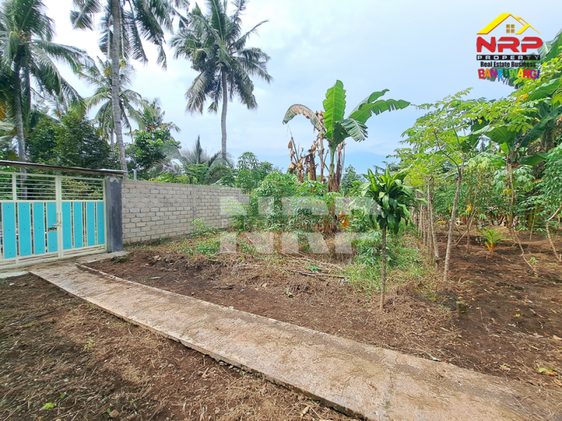 Dijual Tanah Siap Bangun 300 Meter dari Jl. Utama Dadapan - Banyuwangi  Dijual tanah 100 jutaan di Dadapan Banyuwangi  Dijual Tanah Siap Bangun 300 Meter dari Jl. Utama Dadapan - Banyuwangi&nbsp;
Cocok untuk hunian atau investasi jangka panjang

Luas Tanah 164 NRP BANYUWANGI