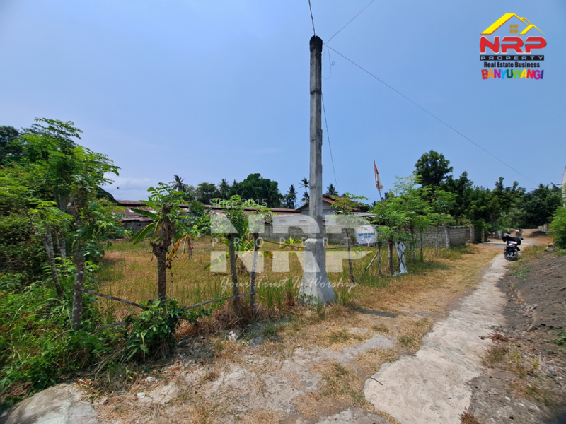 Dijual Tanah Siap Bangun dekat Pantai Cacalan di Sukowidi - Banyuwangi  Dijual Tanah Siap Bangun dekat Pantai Cacalan di Sukowidi - Banyuwangi  Dijual Tanah Siap Bangun dekat Pantai Cacalan di Sukowidi - Banyuwangi&nbsp;
Akses jalan paving, dekat dengan rumah penduduk, lingkungan damai, sejuk karena NRP BANYUWANGI