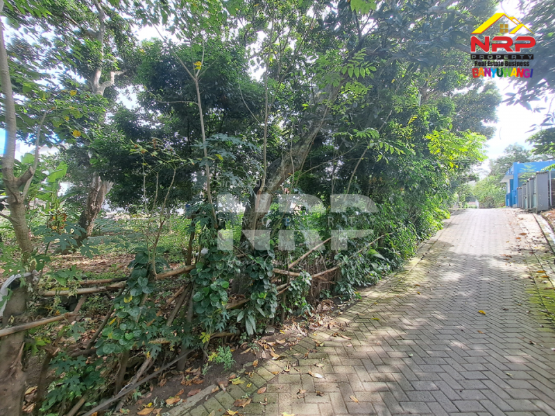 Dijual Tanah Siap Bangun Depan Polresta Banyuwangi  Dijual Tanah Siap Bangun Depan Polresta Banyuwangi  Dijual Tanah Siap Bangun Depan Polresta Banyuwangi&nbsp;
Berada di kawasan perumahan padat penduduk.&nbsp;
Cocok untuk hunian, rumah kos dll.&nbsp;

Luas NRP BANYUWANGI
