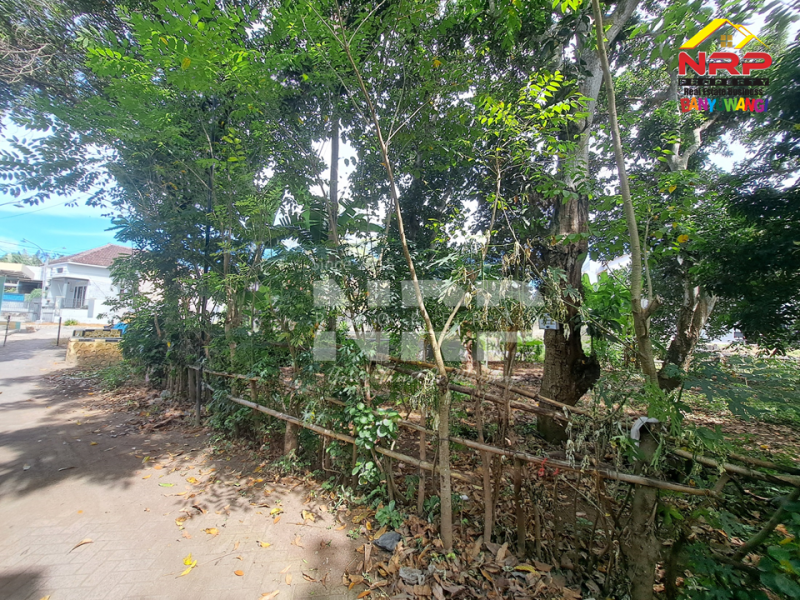 Dijual Tanah Siap Bangun Depan Polresta Banyuwangi  Dijual Tanah Siap Bangun Depan Polresta Banyuwangi  Dijual Tanah Siap Bangun Depan Polresta Banyuwangi&nbsp;
Berada di kawasan perumahan padat penduduk.&nbsp;
Cocok untuk hunian, rumah kos dll.&nbsp;

Luas NRP BANYUWANGI
