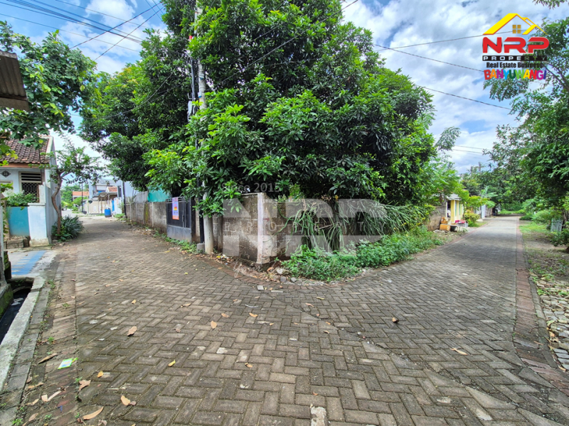 Dijual Tanah Siap Bangun di Belakang Hotel Luminor Banyuwangi  Dijual Tanah Siap Bangun di Belakang Hotel Luminor Banyuwangi  Dijual Tanah Siap Bangun di Belakang Hotel Luminor Banyuwangi&nbsp;
Berada di kawasan Hotel dan Villa.&nbsp;
Sangat cocok untuk Investasi, Hunian, Rumah NRP BANYUWANGI