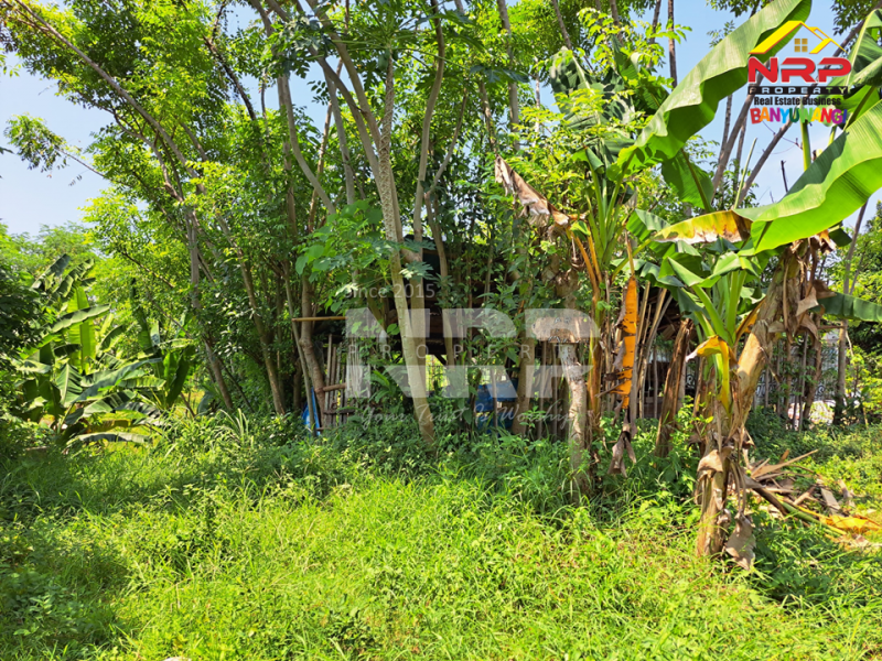 Dijual Tanah Siap Bangun di Belakang Hotel Luminor Banyuwangi  Dijual Tanah Siap Bangun di Belakang Hotel Luminor Banyuwangi  Dijual Tanah Siap Bangun di Belakang Hotel Luminor Banyuwangi&nbsp;
Berada di kawasan Hotel dan Villa.&nbsp;
Sangat cocok untuk Investasi, Hunian, Rumah NRP BANYUWANGI