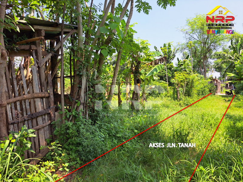 Dijual Tanah Siap Bangun di Belakang Hotel Luminor Banyuwangi  Dijual Tanah Siap Bangun di Belakang Hotel Luminor Banyuwangi  Dijual Tanah Siap Bangun di Belakang Hotel Luminor Banyuwangi&nbsp;
Berada di kawasan Hotel dan Villa.&nbsp;
Sangat cocok untuk Investasi, Hunian, Rumah NRP BANYUWANGI