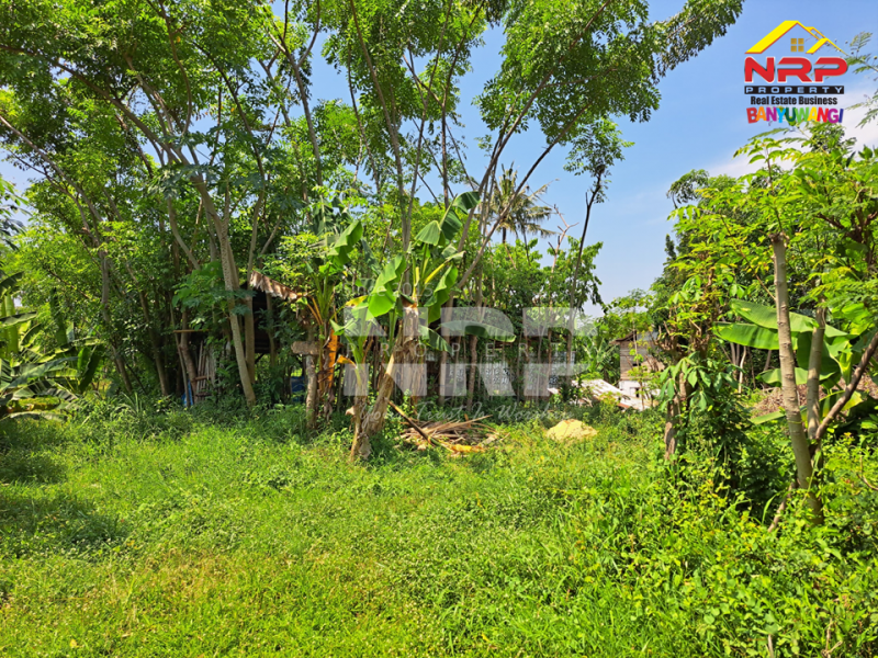 Dijual Tanah Siap Bangun di Belakang Hotel Luminor Banyuwangi  Dijual Tanah Siap Bangun di Belakang Hotel Luminor Banyuwangi  Dijual Tanah Siap Bangun di Belakang Hotel Luminor Banyuwangi&nbsp;
Berada di kawasan Hotel dan Villa.&nbsp;
Sangat cocok untuk Investasi, Hunian, Rumah NRP BANYUWANGI