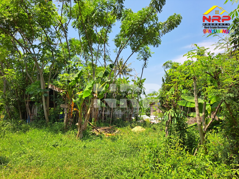 Dijual Tanah Siap Bangun di Belakang Hotel Luminor Banyuwangi  Dijual Tanah Siap Bangun di Belakang Hotel Luminor Banyuwangi  Dijual Tanah Siap Bangun di Belakang Hotel Luminor Banyuwangi&nbsp;
Berada di kawasan Hotel dan Villa.&nbsp;
Sangat cocok untuk Investasi, Hunian, Rumah NRP BANYUWANGI