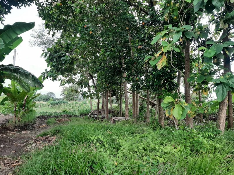 Dijual Tanah Siap Bangun Di Belakang Hotel Santika Banyuwangi Dijual Tanah Siap Bangun Di Belakang Hotel Santika Banyuwangi Dijual Tanah Siap Bangun Di Belakang Hotel Santika Banyuwangi
Lokasi Strategis, Cocok Untuk di Bangun Hunian, Rumah Kos, Home Stay dll

Luas Tanah : 352 m2 NRP BANYUWANGI