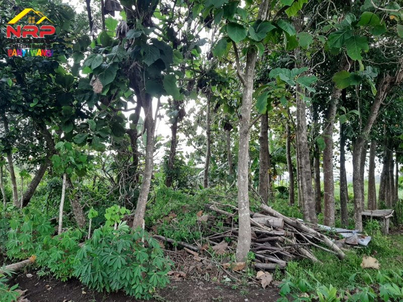 Dijual Tanah Siap Bangun Di Belakang Hotel Santika Banyuwangi Dijual Tanah Siap Bangun Di Belakang Hotel Santika Banyuwangi Dijual Tanah Siap Bangun Di Belakang Hotel Santika Banyuwangi
Lokasi Strategis, Cocok Untuk di Bangun Hunian, Rumah Kos, Home Stay dll

Luas Tanah : 352 m2 NRP BANYUWANGI