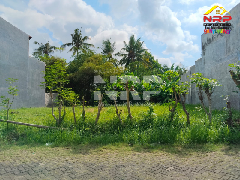 Dijual Tanah Siap Bangun di Belakang Stadion Diponegoro Banyuwangi Dijual Tanah Siap Bangun di Belakang Stadion Banyuwangi Kota  Dijual Tanah Siap Bangun di Belakang Stadion Diponegoro Banyuwangi
Lokasi Sangat Strategis di Pusat Kota Banyuwangi
Cocok Untuk Ruang Usaha, Rumah Kos, NRP BANYUWANGI