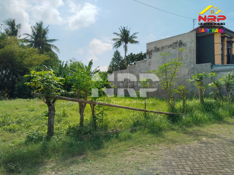 Dijual Tanah Siap Bangun di Belakang Stadion Diponegoro Banyuwangi Dijual Tanah Siap Bangun di Belakang Stadion Banyuwangi Kota  Dijual Tanah Siap Bangun di Belakang Stadion Diponegoro Banyuwangi
Lokasi Sangat Strategis di Pusat Kota Banyuwangi
Cocok Untuk Ruang Usaha, Rumah Kos, NRP BANYUWANGI