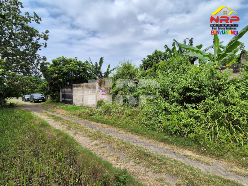 Dijual Tanah Siap Bangun di Belakang Stadion Diponegoro Banyuwangi Rekomendasi tanah dijual murah banyuwangi kota  Dijual Tanah Siap Bangun di Belakang Stadion Diponegoro Banyuwangi
Lokasi Sangat Strategis&nbsp; di Pusat Kota Banyuwangi
Cocok untuk hunian pribadi mauupn NRP BANYUWANGI