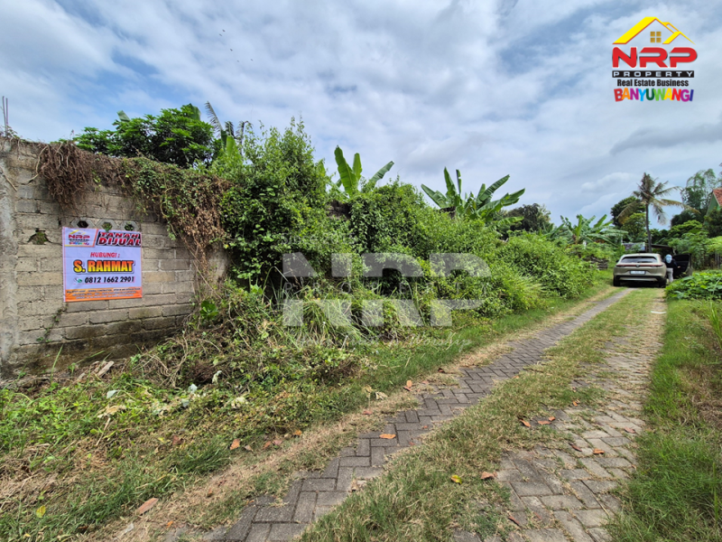 Dijual Tanah Siap Bangun di Belakang Stadion Diponegoro Banyuwangi Rekomendasi tanah dijual murah banyuwangi kota  Dijual Tanah Siap Bangun di Belakang Stadion Diponegoro Banyuwangi
Lokasi Sangat Strategis&nbsp; di Pusat Kota Banyuwangi
Cocok untuk hunian pribadi mauupn NRP BANYUWANGI