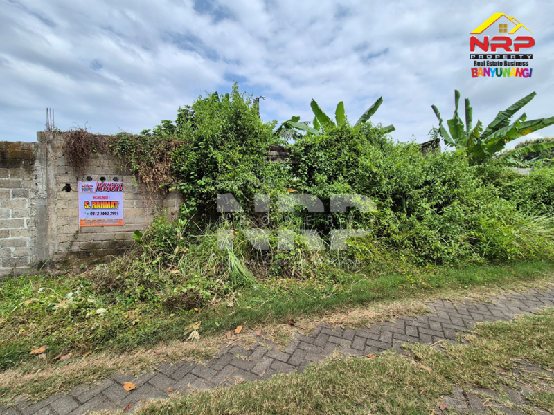 Dijual Tanah Siap Bangun di Belakang Stadion Diponegoro Banyuwangi Rekomendasi tanah dijual murah banyuwangi kota  Dijual Tanah Siap Bangun di Belakang Stadion Diponegoro Banyuwangi
Lokasi Sangat Strategis&nbsp; di Pusat Kota Banyuwangi
Cocok untuk hunian pribadi mauupn NRP BANYUWANGI