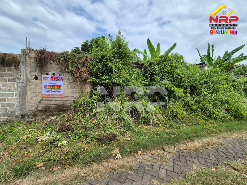 Dijual Tanah Siap Bangun di Belakang Stadion Diponegoro Banyuwangi Rekomendasi tanah dijual murah banyuwangi kota  Dijual Tanah Siap Bangun di Belakang Stadion Diponegoro Banyuwangi
Lokasi Sangat Strategis&nbsp; di Pusat Kota Banyuwangi
Cocok untuk hunian pribadi mauupn NRP BANYUWANGI