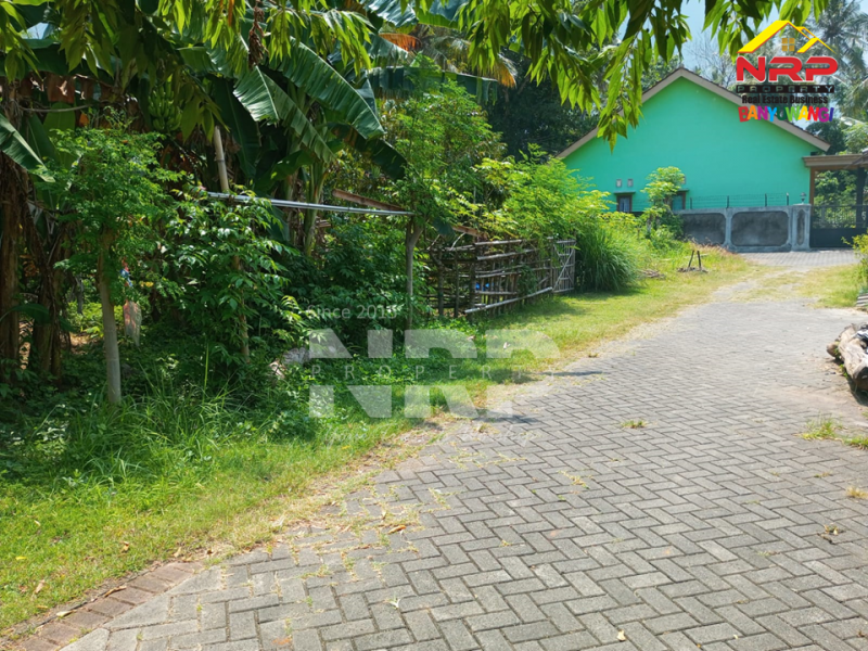 Dijual Tanah Siap Bangun di Belakang Stadion Diponegoro Banyuwangi Dijual Tanah Siap Bangun di Belakang Stadion Diponegoro Banyuwangi Dijual Tanah Siap Bangun di Belakang Stadion Diponegoro Banyuwangi
Lokasi Sangat Strategis&nbsp; di Pusat Kota Banyuwangi
Cocok Untuk Ruang Usaha, Rumah Kos, NRP BANYUWANGI