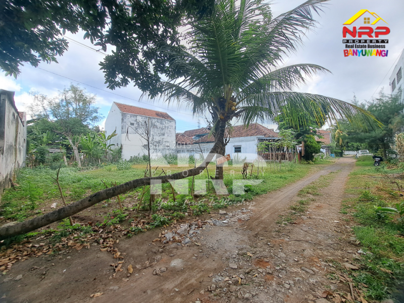 Dijual Tanah siap bangun di Depan SPBU Farly Ketapang - Banyuwangi  Dijual Tanah siap bangun di Depan SPBU Farly Ketapang - Banyuwangi  Dijual Tanah siap bangun di Depan SPBU Farly Ketapang - Banyuwangi&nbsp;
Berada dikawasan industri. Cocok untuk rumah kos passive income&nbsp;

Luas Tanah : NRP BANYUWANGI