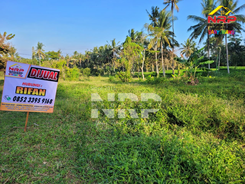 Dijual Tanah Siap Bangun di Glagah - Banyuwangi  Dijual Tanah Siap Bangun di Glagah - Banyuwangi  Dijual Tanah Siap Bangun di Glagah - Banyuwangi&nbsp;
Lokasi hidden gem, masih asri, dekat persawahan.
Hanya 15 menit dari Banyuwangi kota&nbsp;
Peluang NRP BANYUWANGI