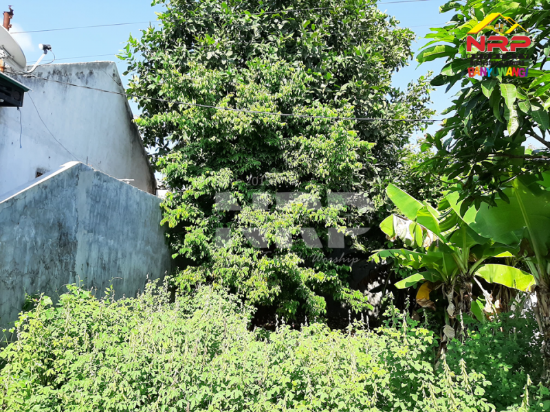 Dijual Tanah Siap Bangun di  Karangrejo - Banyuwangi  Dijual Tanah Siap Bangun di  Karangrejo - Banyuwangi  Dijual Tanah Siap Bangun di&nbsp; Karangrejo - Banyuwangi&nbsp;
Tanah kavling di Tengah Kota Banyuwangi, Dekat dengan Klenteng dan Pasar Banyuwangi
Sudar ada NRP BANYUWANGI
