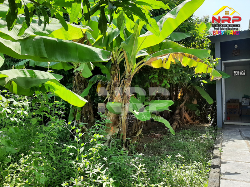 Dijual Tanah Siap Bangun di  Karangrejo - Banyuwangi  Dijual Tanah Siap Bangun di  Karangrejo - Banyuwangi  Dijual Tanah Siap Bangun di&nbsp; Karangrejo - Banyuwangi&nbsp;
Tanah kavling di Tengah Kota Banyuwangi, Dekat dengan Klenteng dan Pasar Banyuwangi
Sudar ada NRP BANYUWANGI