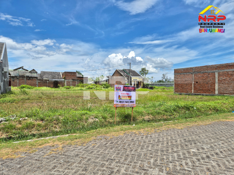 Dijual Tanah Siap Bangun di Kawasan Perumahan Karangrejo - Banyuwangi  Dijual Tanah Siap Bangun di Kawasan Perumahan Karangrejo - Banyuwangi  Dijual Tanah Siap Bangun di Kawasan Perumahan Karangrejo - Banyuwangi&nbsp;
Tanah Murah Tengah Kota Banyuwangi dekat dengan Wisata Pulau Santen, Marina Boom NRP BANYUWANGI