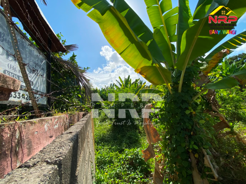 Dijual Tanah Siap Bangun Di Kebalenan - Banyuwangi  Dijual Tanah Siap Bangun Di Kebalenan - Banyuwangi  Dijual Tanah Siap Bangun Di Kebalenan - Banyuwangi&nbsp;
Dekat dengan kantor pemerintahan,&nbsp; fasilitas pendidikan, perbelanjaan, transportasi NRP BANYUWANGI