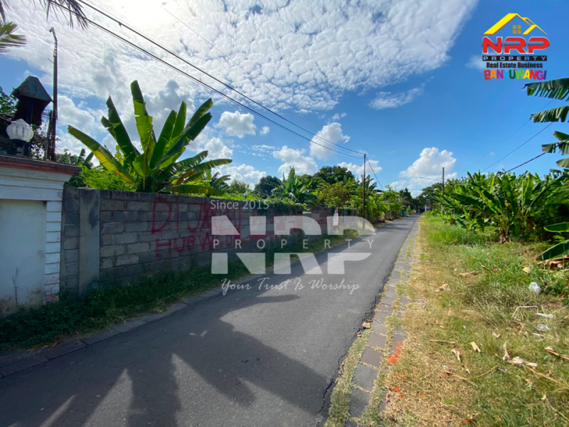 Dijual Tanah Siap Bangun Di Kebalenan - Banyuwangi  Dijual Tanah Siap Bangun Di Kebalenan - Banyuwangi  Dijual Tanah Siap Bangun Di Kebalenan - Banyuwangi&nbsp;
Dekat dengan kantor pemerintahan,&nbsp; fasilitas pendidikan, perbelanjaan, transportasi NRP BANYUWANGI