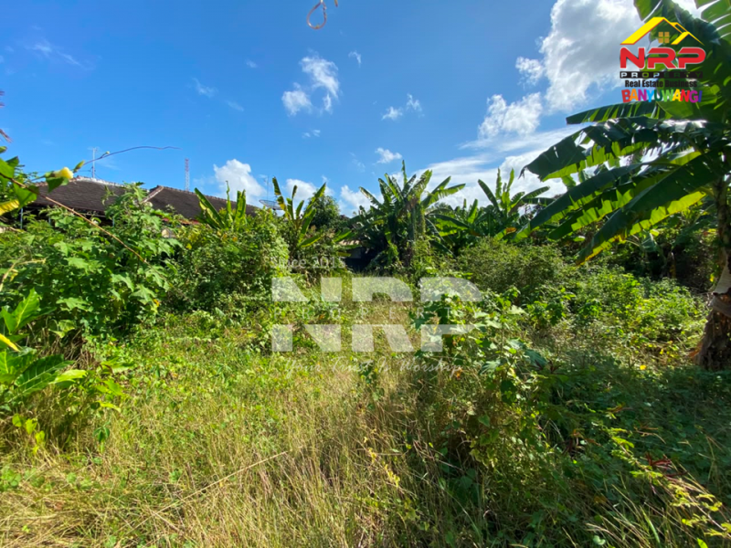 Dijual Tanah Siap Bangun Di Kebalenan - Banyuwangi  Dijual Tanah Siap Bangun Di Kebalenan - Banyuwangi  Dijual Tanah Siap Bangun Di Kebalenan - Banyuwangi&nbsp;
Dekat dengan kantor pemerintahan,&nbsp; fasilitas pendidikan, perbelanjaan, transportasi NRP BANYUWANGI