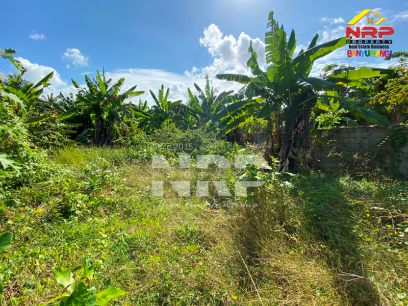 Dijual Tanah Siap Bangun Di Kebalenan - Banyuwangi  Dijual Tanah Siap Bangun Di Kebalenan - Banyuwangi  Dijual Tanah Siap Bangun Di Kebalenan - Banyuwangi&nbsp;
Dekat dengan kantor pemerintahan,&nbsp; fasilitas pendidikan, perbelanjaan, transportasi NRP BANYUWANGI