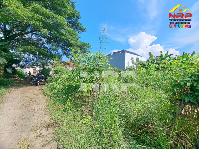 DIJUAL TANAH SIAP BANGUN DI KEBALENAN - BANYUWANGI  DIJUAL TANAH SIAP BANGUN DI KEBALENAN - BANYUWANGI  DIJUAL TANAH SIAP BANGUN DI KEBALENAN - BANYUWANGI&nbsp;
Lokasi premium, akses mudah, cocok untuk rumah tinggal atau investasi. Legalitas aman, siap NRP BANYUWANGI