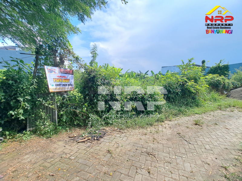 DIJUAL TANAH SIAP BANGUN DI KEBALENAN - BANYUWANGI  DIJUAL TANAH SIAP BANGUN DI KEBALENAN - BANYUWANGI  DIJUAL TANAH SIAP BANGUN DI KEBALENAN - BANYUWANGI&nbsp;
Lokasi premium, akses mudah, cocok untuk rumah tinggal atau investasi. Legalitas aman, siap NRP BANYUWANGI