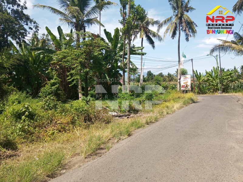 Dijual Tanah Siap Bangun di Kebalenan - Banyuwangi  Dijual Tanah Siap Bangun di Kebalenan - Banyuwangi  Dijual Tanah Siap Bangun di Kebalenan - Banyuwangi&nbsp;
Lokasi strategis depan Polresta Banyuwangi, Dekat dengan SDIT AL uswah Banyuwangi&nbsp;
Berada di NRP BANYUWANGI