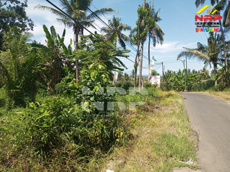 Dijual Tanah Siap Bangun di Kebalenan - Banyuwangi  Dijual Tanah Siap Bangun di Kebalenan - Banyuwangi  Dijual Tanah Siap Bangun di Kebalenan - Banyuwangi&nbsp;
Lokasi strategis depan Polresta Banyuwangi, Dekat dengan SDIT AL uswah Banyuwangi&nbsp;
Berada di NRP BANYUWANGI