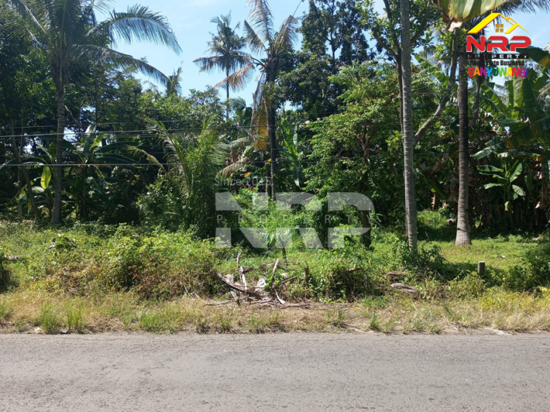 Dijual Tanah Siap Bangun di Kebalenan - Banyuwangi  Dijual Tanah Siap Bangun di Kebalenan - Banyuwangi  Dijual Tanah Siap Bangun di Kebalenan - Banyuwangi&nbsp;
Lokasi strategis depan Polresta Banyuwangi, Dekat dengan SDIT AL uswah Banyuwangi&nbsp;
Berada di NRP BANYUWANGI
