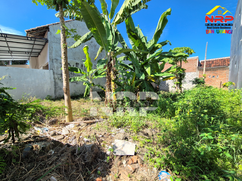 Dijual Tanah siap bangun di Kebalenan Banyuwangi  Dijual Tanah siap bangun di Kebalenan Banyuwangi  Dijual Tanah siap bangun di Kebalenan Banyuwangi&nbsp;
Berada di kawasan perumahan, akses jalan 2 mobil, lingkungan nyaman dan masih asri.&nbsp;

Luas Tanah NRP BANYUWANGI
