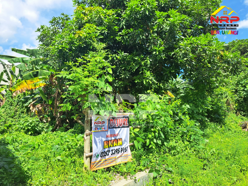 Dijual Tanah Siap Bangun di Perum Kebalenan Indah - Banyuwangi  Dijual Tanah Siap Bangun di Perum Kebalenan Indah - Banyuwangi  Dijual Tanah Siap Bangun di Perum Kebalenan Indah - Banyuwangi&nbsp;
Lokasi Strategis di pusat kota Banyuwangi, Berada dibelakang Bank BTN NRP BANYUWANGI