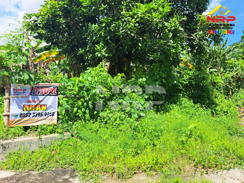 Dijual Tanah Siap Bangun di Perum Kebalenan Indah - Banyuwangi  Dijual Tanah Siap Bangun di Perum Kebalenan Indah - Banyuwangi  Dijual Tanah Siap Bangun di Perum Kebalenan Indah - Banyuwangi&nbsp;
Lokasi Strategis di pusat kota Banyuwangi, Berada dibelakang Bank BTN NRP BANYUWANGI