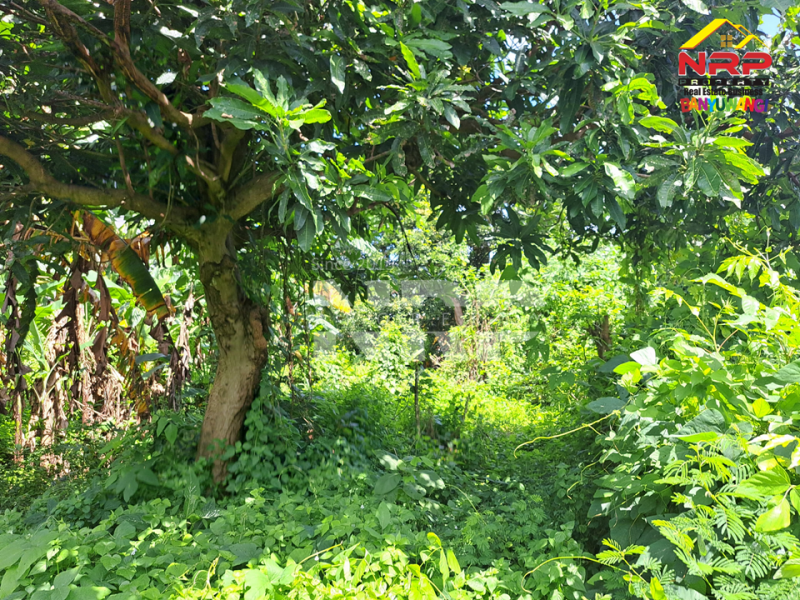 Dijual Tanah Siap Bangun di Perum Kebalenan Indah - Banyuwangi  Dijual Tanah Siap Bangun di Perum Kebalenan Indah - Banyuwangi  Dijual Tanah Siap Bangun di Perum Kebalenan Indah - Banyuwangi&nbsp;
Lokasi Strategis di pusat kota Banyuwangi, Berada dibelakang Bank BTN NRP BANYUWANGI